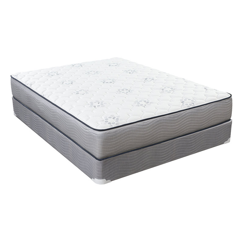 Spinal Guard by King Koil 10" Firm Mattress Wayfair